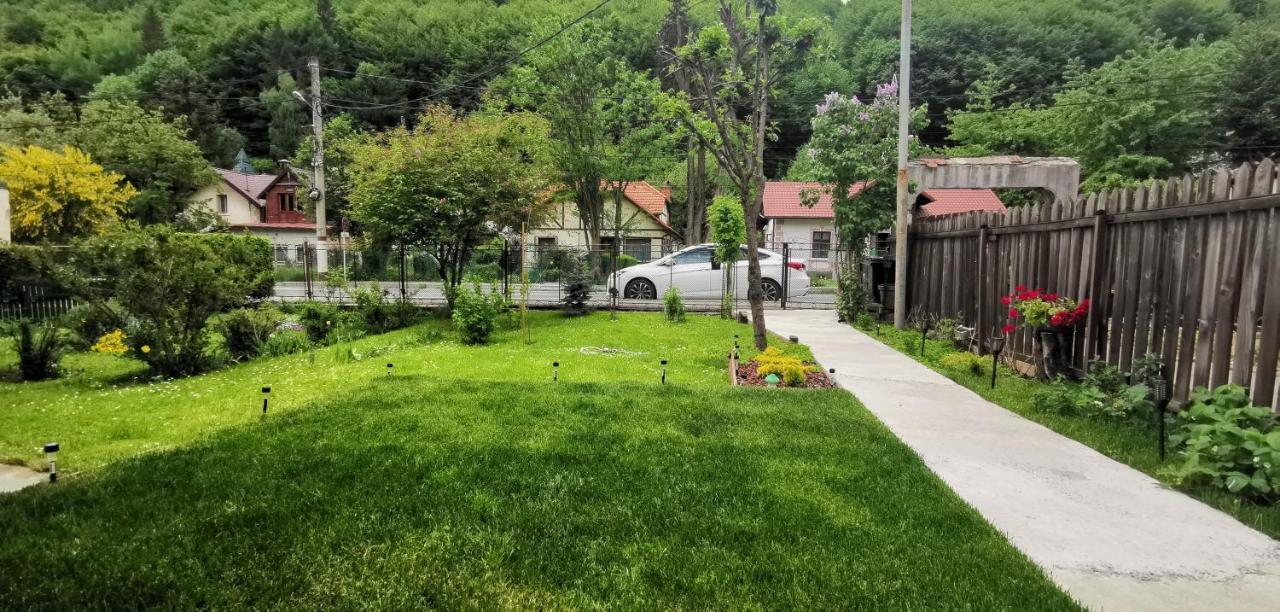 Casa Bunicilor Sinaia 빌라 외부 사진