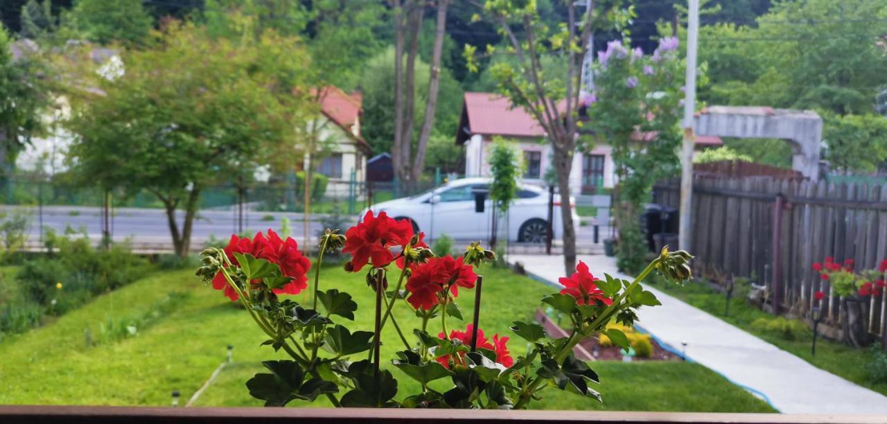 Casa Bunicilor Sinaia 빌라 외부 사진